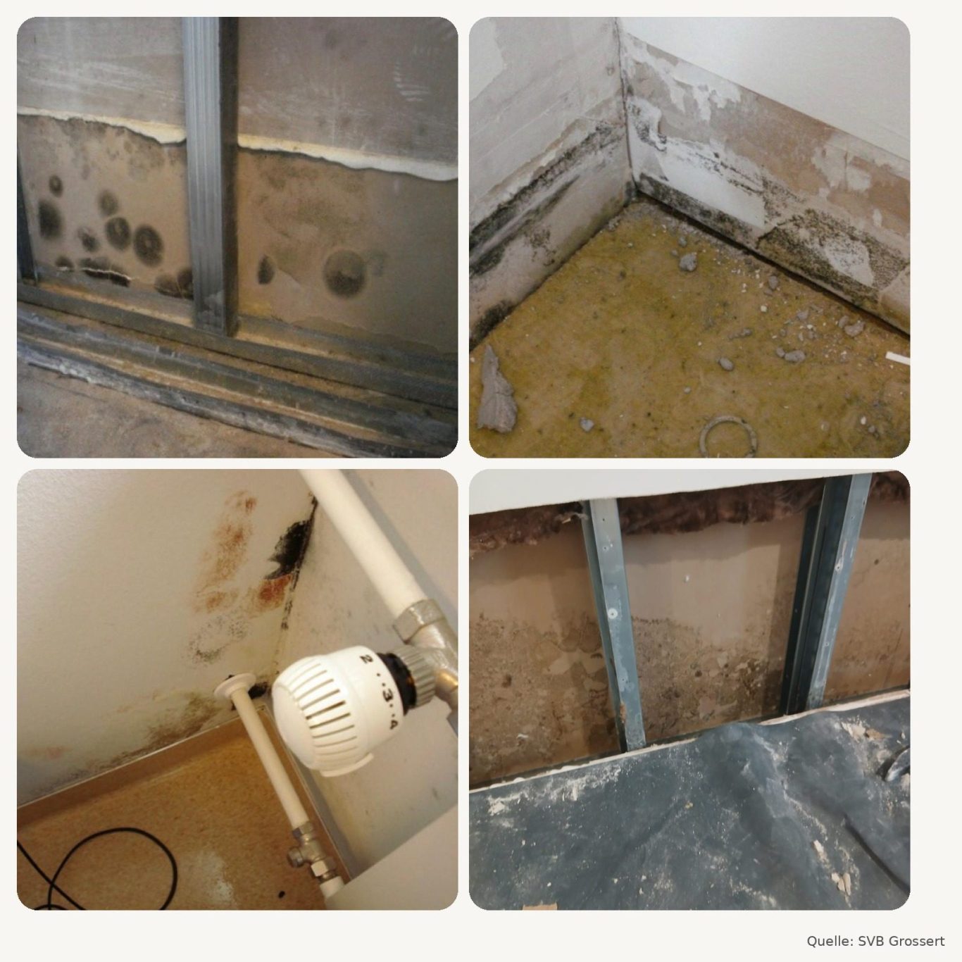 Schimmel- und Feuchteschäden an Bauteilen Schimmel- und Feuchteschäden an Wänden und Trockenbaukonstruktionen